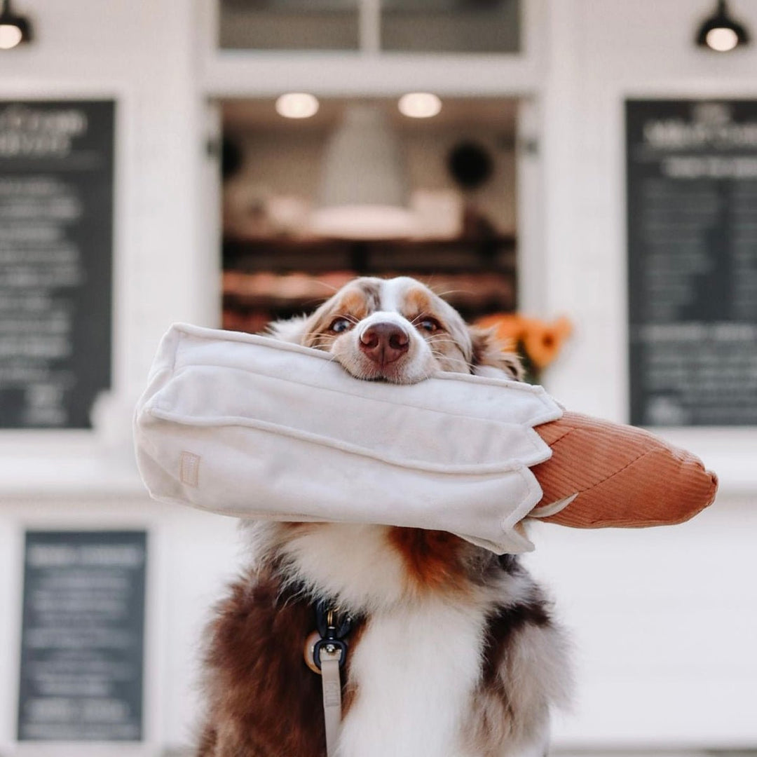 Dog Toys - TilleyTree