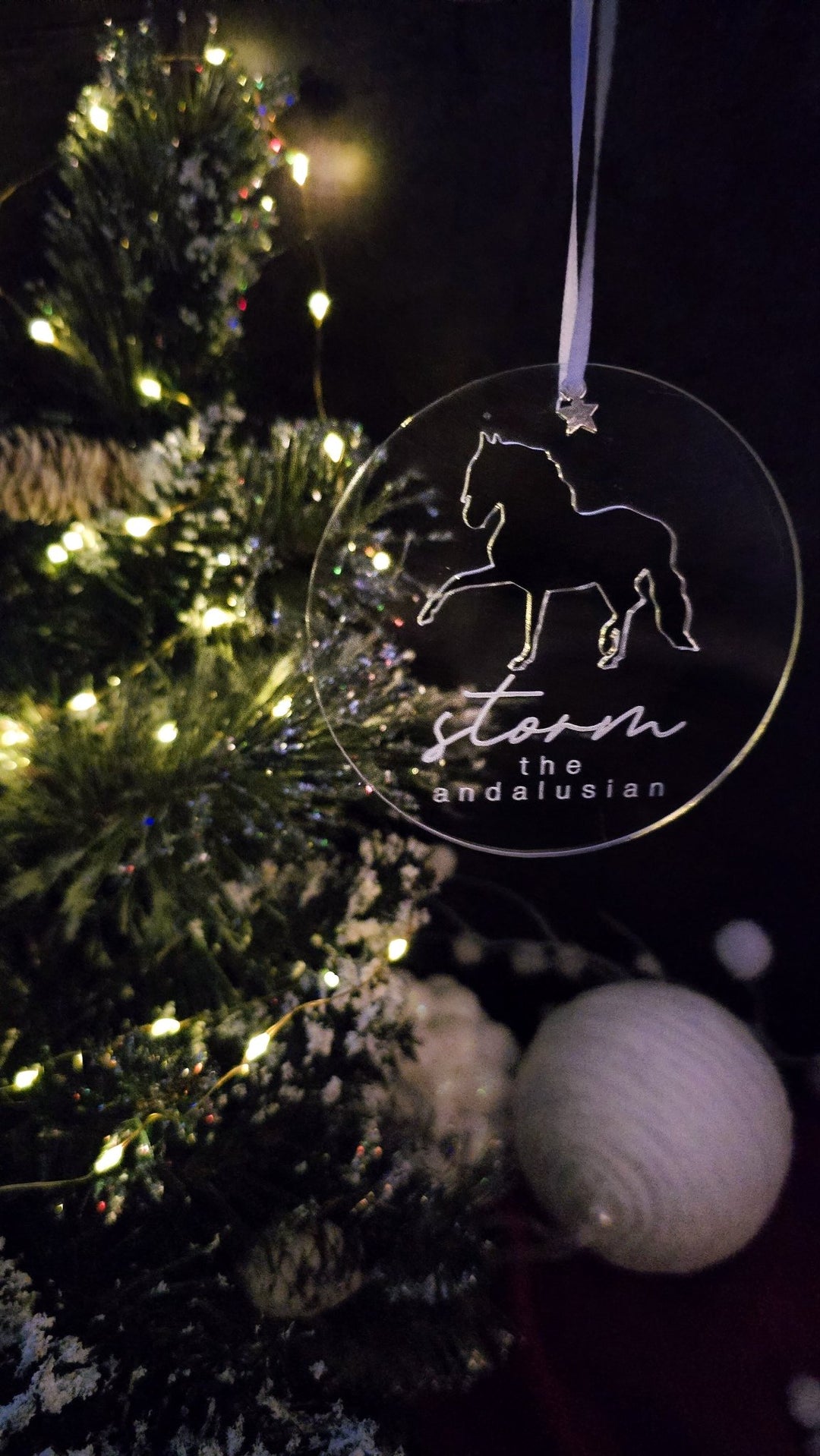 Acrylic Glow - Personalised Horse & Large Pet Ornament - TilleyTree