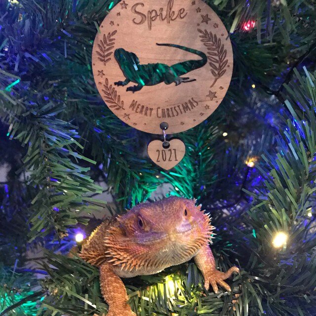 Santa Paws Personalised Pet Christmas Ornament - TilleyTree